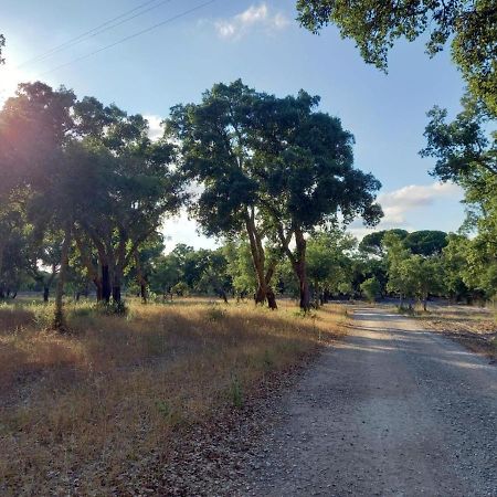 Alto Villa Alcácer do Sal Eksteriør bilde